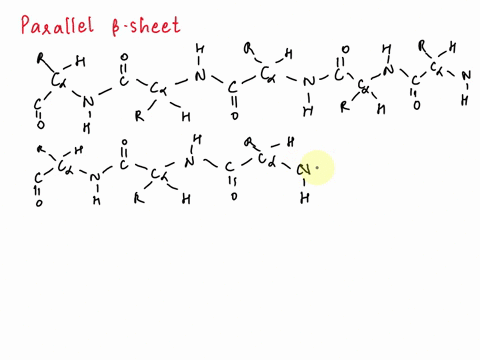 using-the-letter-r-to-indicate-amino-acid-side-chain-draw-the-following-a-the-backbone-atoms-and-bonds-of-a-parallel-b-sheet-with-two-b-strands-of-5-amino-acid-each-use-slide-23-of-chapter-6-52217