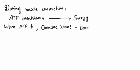 which-of-the-following-statements-is-true-regarding-atp-and-phospo-creatine-question-options-the-energy-released-by-breakage-of-one-a-covalent-bond-from-a-creatine-phosphate-molecule-is-suff-23768