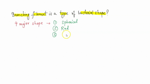 question-branching-filaments-is-type-of-bacterial-shape-false-true-63907