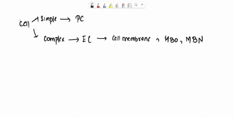 what-is-the-storage-compartment-of-a-cell-68703