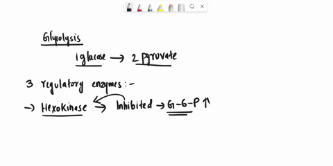 question-15-whatis-the-main-enzyme-that-serves-as-the-control-point-in-the-regulation-of-glycolysis-hexokinase-isomerase-phosphoglyceromutase-phosphofructokinase-pyruvate-kinase-previous-40884