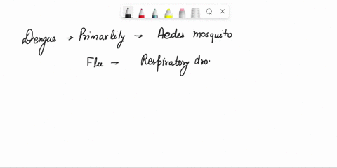 how-method-of-prevention-of-dengue-is-different-from-that-of-flu-87172