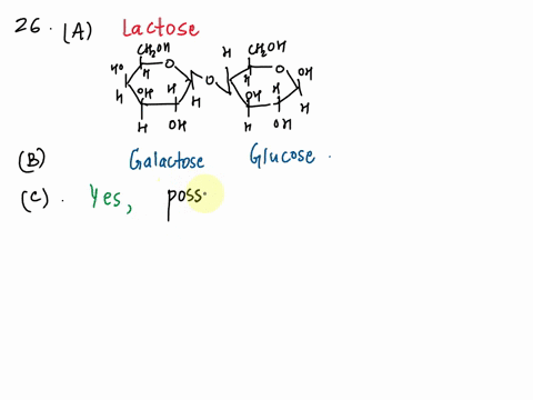 26-a-draw-the-haworth-projection-for-the-following-disaecharide-below-b-identily-tle-glucosc-and-galactose-monosaccharides-within-this-sugar_-is-this-a-redueing-sugar-explain-your-aiswci-8-w-42674
