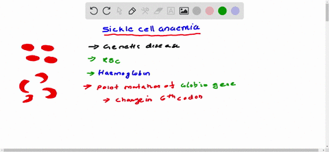 what-is-sickle-cell-anemia-and-how-does-it-affect-the-perfusion-of-oxygen-in-the-blood-a-it-is-a-gen-52026