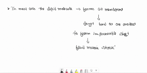 true-or-false-in-most-cells-the-lipid-molecules-that-form-the-cell-membrane-bond-to-one-another-to-form-a-firm-impermeable-sheet-20505