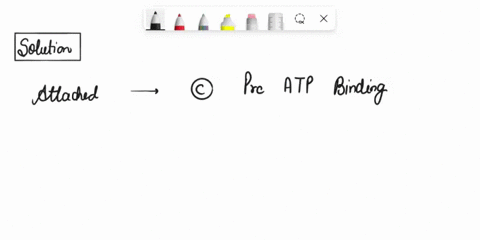 uestion-match-the-following-terms-for-definition-how-myosin-moves-along-actin-with-their-corresponding-attached-the-cleft-closes-like-clam-shell-around-released-the-atp-molecule-cocked-atp-b-69258