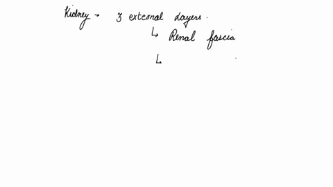identify-the-three-layers-that-surround-the-kidney-from-internal-to-external-91079
