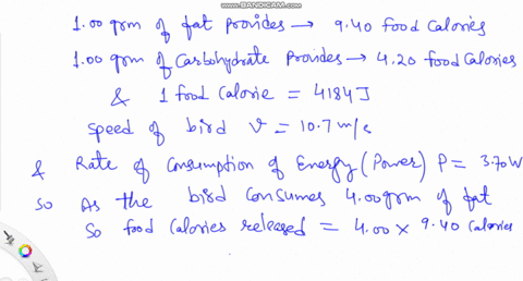 small-birds-like-that-in-figure-1-can-migrate-over-long-distances-without-feeding-storing-energy-mostly-as-fat-rather-than-carbohydrate-fat-is-a-good-form-of-energy-storage-because-it-provides-the-mos