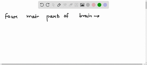 what-are-the-four-main-parts-of-the-fore-brain-give-the-function-of-each-part-bwhat-are-the-three-parts-of-the-mid-brain-and-their-functions-cwhich-part-of-the-human-brain-is-responsible-for-86266