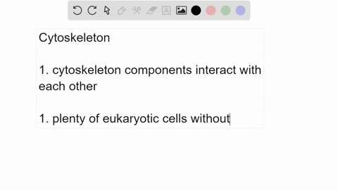the-three-cytoskeletal-filaments-perform-distinct-tasks-in-the-cell-and-act-cornpletely-independently-of-one-another-1-all-eukaryotic-cells-have-actin-microtubules-and-intermediate-filaments-41663