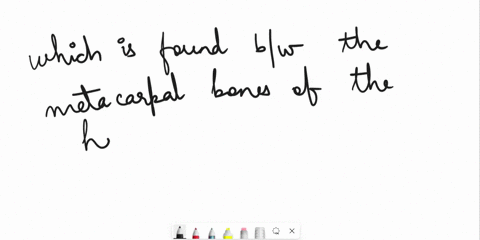 which-of-these-joints-is-classified-as-a-biaxial-diarthrosis-a-the-metacarpophalangeal-joint-b-the-hip-joint-c-the-elbow-joint-d-the-pubic-symphysis-61807