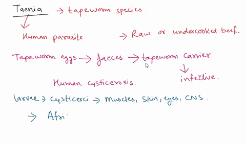 taenia-and-schistosomawhat-parallels-can-you-draw-between-transmission-of-these-two-devastating-pathogens-why-are-they-not-prevalent-in-the-us-think-about-various-regulationscomparecontrast-31285