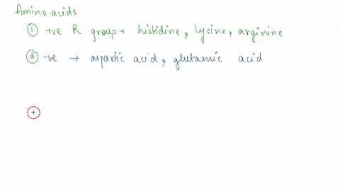 classify-each-amino-acid-by-the-chemical-properties-of-its-side-chain-r-group-at-ph-7-select-the-amino-acid-that-fits-best-in-each-category-each-amino-acid-will-be-selected-only-once-which-a-63626