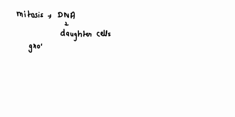 the-process-of-nuclear-division-in-cells-that-produces-daughter-cells-that-are-genetically-identical-to-each-other-and-to-the-parent-cell-not-photosynthesis-78346