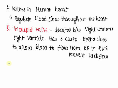write-about-the-valves-present-in-the-human-heart-their-locations-and-function-30193