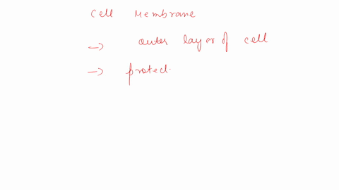 which-of-the-following-are-found-in-cell-membranes-select-all-that-apply-phospholipids-nucleic-acids-proteins-triglycerides-rna-and-dna-62152