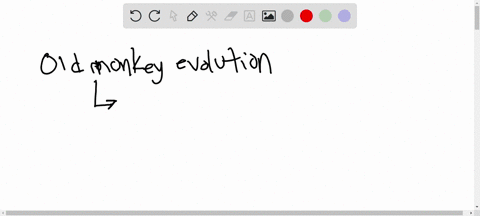 10-which-statement-about-old-world-monkey-evolution-is-not-currently-supported-a-fully-modern-bilophodont-molars-first-appear-in-victoriapithecus-b-modern-monkeys-have-reverted-back-to-the-a-02236