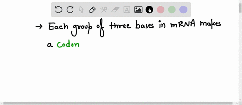 three-bases-found-on-mrna-are-called-a-77738