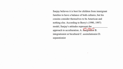 sanjay-believes-it-is-best-for-children-from-immigrant-families-to-have-a-balance-of-both-cultures-but-his-cousins-consider-themselves-to-be-american-and-nothing-else-according-to-berrys-199-72804