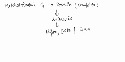gtp-binding-to-which-subunit-in-a-heterotrimeric-g-protein-is-associated-with-a-receptor-signal-a-the-alpha-subunit-b-the-beta-subunit-c-beta-gamma-subunits-d-alpha-beta-gamma-subunits-83978
