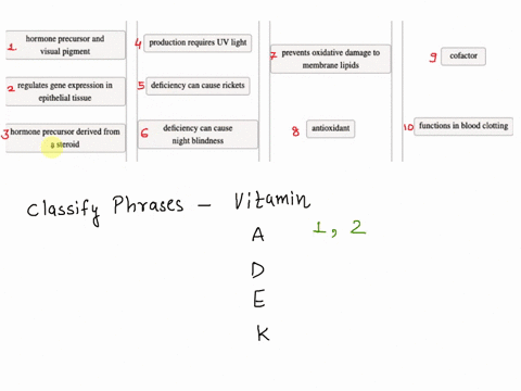 question-26-of-30-attempt-1-vitamins-a-d-e-and-k-are-fat-soluble-vitamins-classify-the-phrases-as-describing-vitamin-a-vitamin-d-vitamin-e-vitamin-k-vitamin-a-vitamin-d-vitamin-e-vitamin-k-h-61129