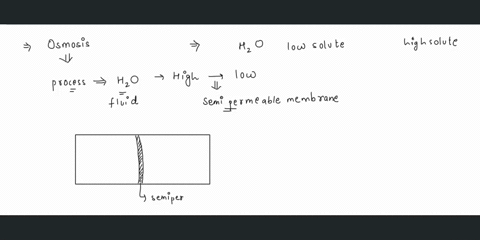 explain-why-in-osmosis-water-moves-from-an-area-of-low-solute-concentration-to-and-area-of-high-solute-concentration-44375