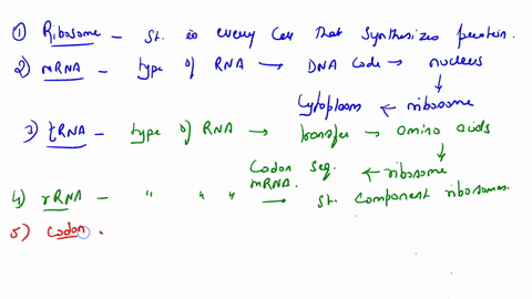 a-transcription-b-exons-c-codon-d-ribosome-e-introns-f-trna-g-genetic-code-h-rna-polymerase-i-rrna-j-translation-k-anticodon-l-splicing-m-mrna-1-_____-structure-in-every-cell-that-synthesize-12898