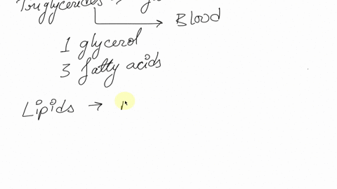 all-lipids-are-a-triglycerides-b-polar-c-hydrophilic-d-polymers-of-fatty-acids-e-more-soluble-in-n-3-47546