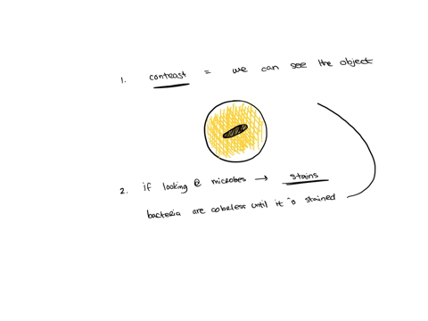 microscopy-1-why-is-contrast-important-in-microscopy2-how-can-contrast-be-achieved-in-using-the-microscope3-what-is-the-relationship-of-wavelength-and-numerical-aperture-in-getting-a-good-re-66091