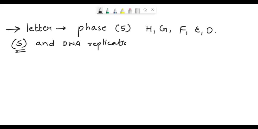 Solved Question 11 1 Pts Which Letter Representing Phase Of The Cell Cycle Would You Observe 6930