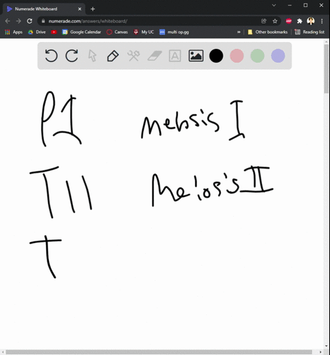 1-identify-the-correct-stage-of-meiosis-where-group-of-answer-choiceshomologous-chromosomes-first-pair-up-4-genetically-different-cells-are-formed-the-first-monoploid-cells-are-first-formed-44138