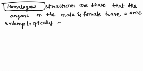 question-3-marhedoutof1ootflagqoestie-in-class-we-discussed-the-fact-that-male-and-female-tissues-both-arise-from-originally-undifferentiated-tissuesmeaning-the-adult-structures-are-homologo-12336
