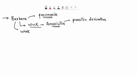 after-diagnosing-barbara-with-pneumonia-the-pa-writes-her-a-prescription-for-amoxicillin-a-commonly-prescribed-type-of-penicillin-derivative-more-than-a-week-later-despite-taking-the-full-co-89013
