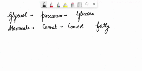 dues-o-glucose-cannot-be-synthesized-in-mammals-from-which-of-the-following-noncarbohydrate-precursors-praloacetate-alanine-lactate-glycerol-nonetof-the-labove-76261