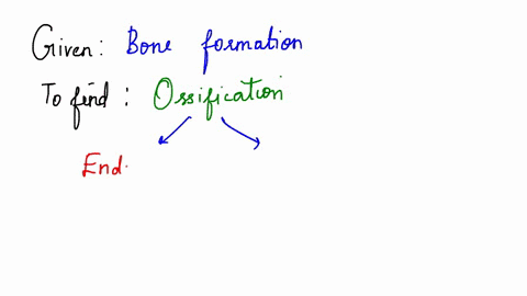 bones-which-begin-as-mesenchyme-and-transform-directly-into-bone-skipping-the-cartilage-stage-undergo-__________-group-of-answer-choices-epiphyseal-ossification-endochondral-ossification-dia-41074