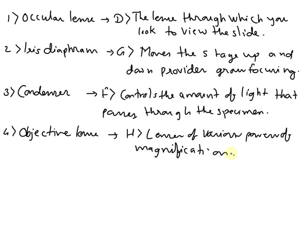 SOLVED Ocular lens Iris diaphragm A. The surface on which the slide sits B. The microscope's