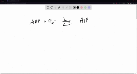 an-enzyme-catalyzes-the-formation-of-atp-from-adp-and-phosphate-ion-what-is-its-effect-on-the-rate-o-29295