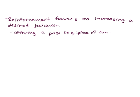 with-your-own-examples-how-reinforcement-and-punishments-are-important-in-the-process-of-modifying-a-persons-behaviour