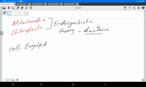 which-of-the-following-structures-of-a-eukaryotic-cell-is-not-likely-derived-from-endosymbiotic-bact-06965