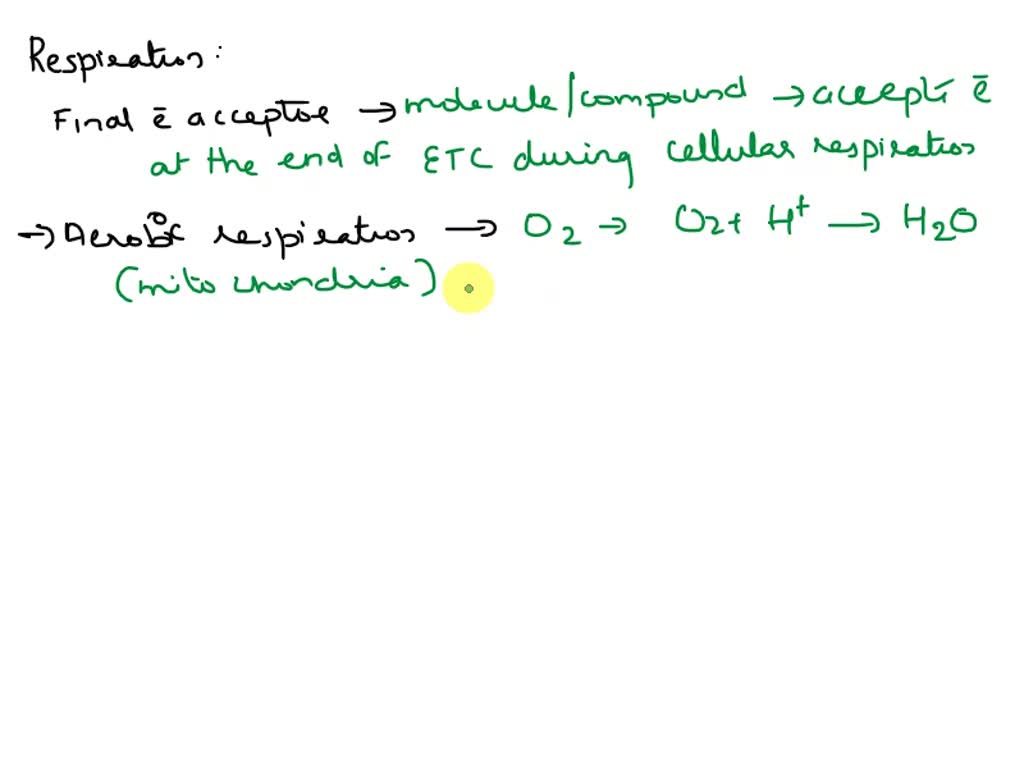 SOLVED: Explain what is meant by final electron acceptor and how this