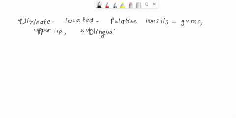 the-palatine-tonsils-are-located-between-which-two-structures-gingivan-gums-pulatine-raphe-hard-paiato-upper-lip-suponior-abial-trenuaum-palatogiossal-arch-natopharyrngeel-arch-so-palat-uvut-38095