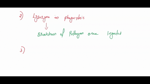 immune-system-a-which-of-these-organs-does-not-play-an-important-role-in-immune-function-1mark-a-bone-marrow-b-thymus-c-spleen-d-pancreas-b-what-is-the-function-of-lysozyme-in-phagocytosis-1-76916