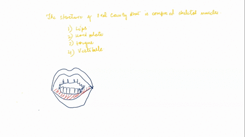 which-structure-of-the-oral-cavity-is-composed-of-skeletal-muscle-lips-hard-palate-tongue-vestibule-structure-of-the-epithelial-cells-in-the-small-intestine-that-increase-surface-area-for-ab-70949