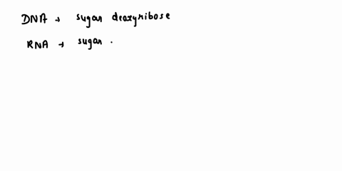 adenine-complementary-cytoplasm-cytosine-deoxyribose-double-helix-guanine-messenger-rna-nucleus-phosphate-ribose-ribosomes-ribosomal-rna-thymine-transcrption-transfer-rna-uracil-rna-is-diffe-24661