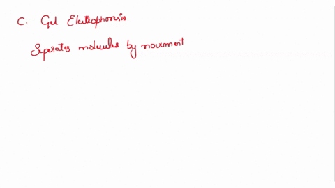 the-tongues-shape-changes-primarily-because-of-the-action-of-thea-extrinsic-tongue-musclesb-intrinsic-tongue-muscles-16342