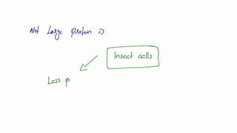 which-of-the-following-is-not-useful-for-producing-proteins-in-large-amounts-a-bacteria-b-yeast-c-insect-cells-d-transgenic-mice-e-mammalian-cell-culture-please-help-me-with-this-question-i-02662