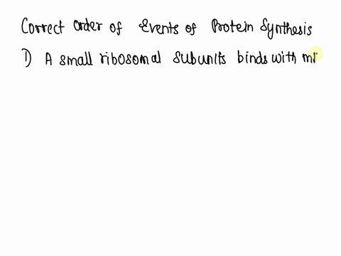 choose-the-answer-that-has-these-events-of-protein-sequence-synthesis-in-the-proper-1a-trna-binds-to-the-start-codon-of-the-mrna-2-a-large-ribosomal-unit-binds-to-form-an-initiation-complex-14435