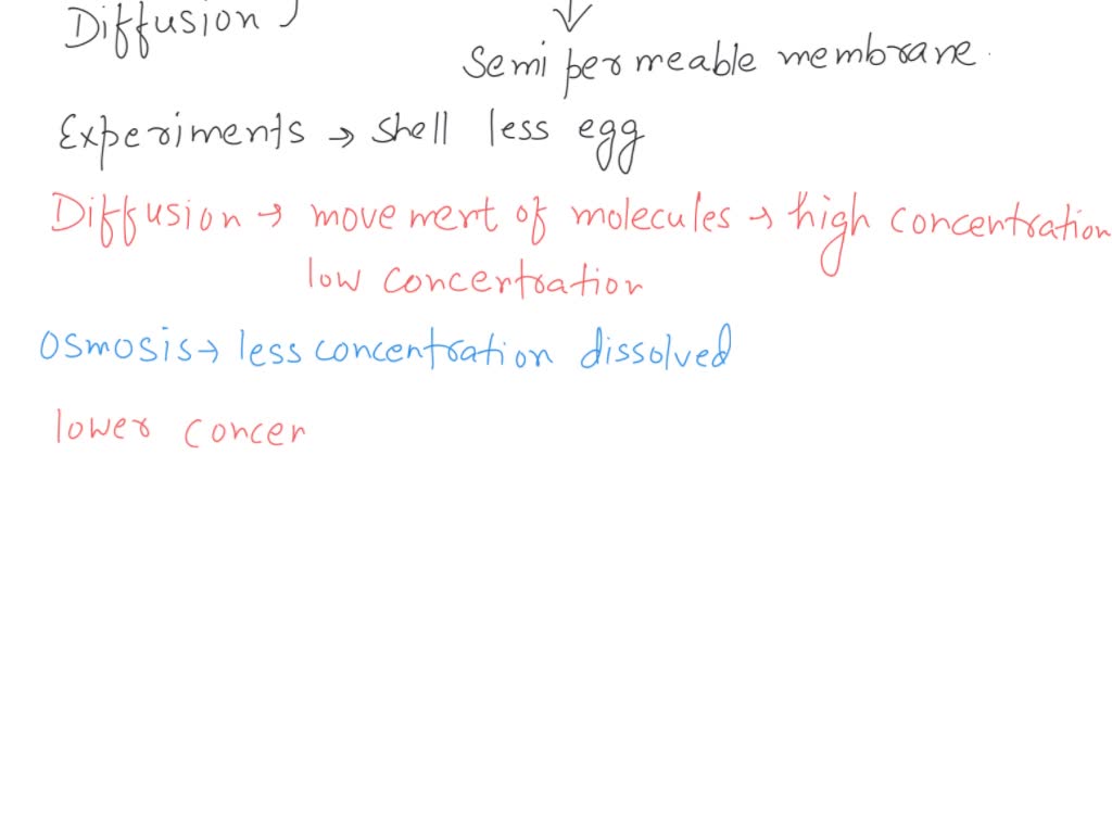 SOLVED Abstract This abstract provides a brief description of the