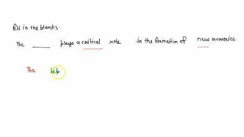 fill-in-the-blanks-in-the-following-statementsthe-_________________________-plays-a-critical-role-in-95146