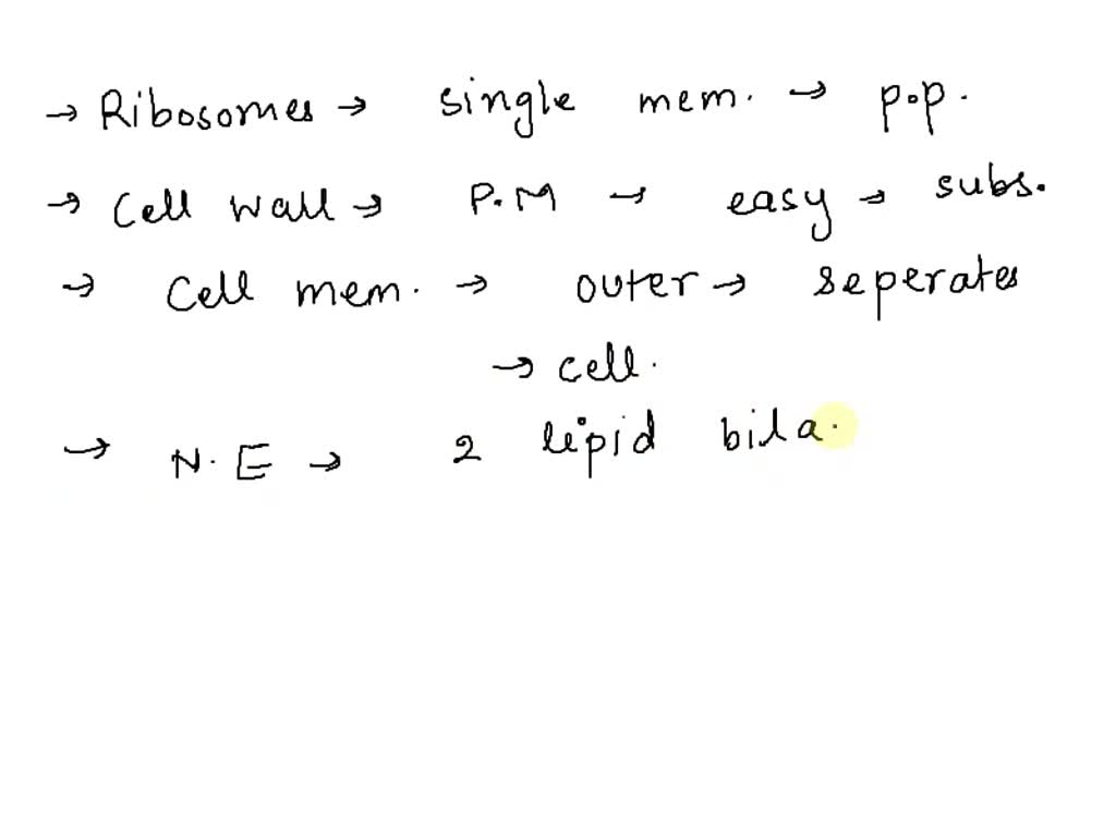 SOLVED: Which structure consists of two lipid bilayers folded together ...